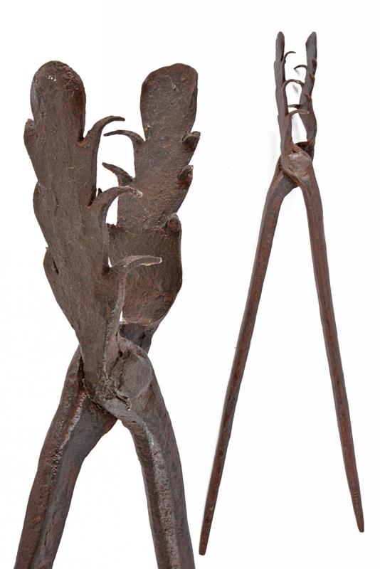 Pinza per tortura