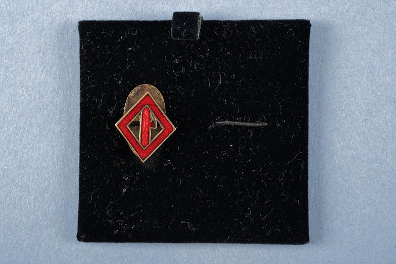 Distintivo da squadrista 