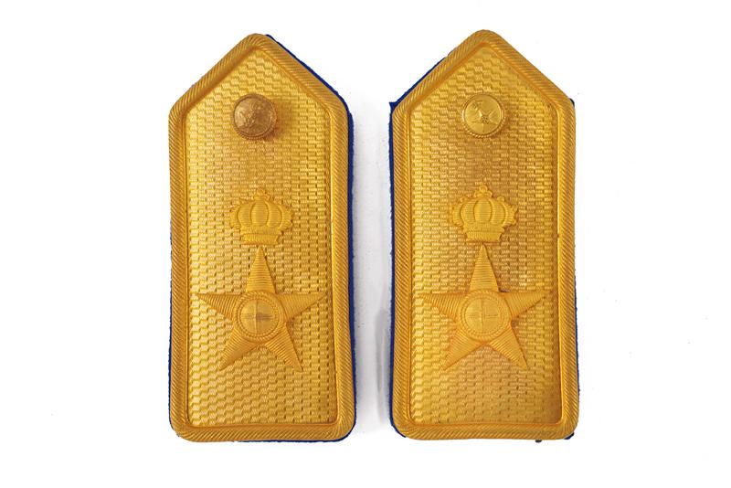 Controspalline mod. 34 per il corpo di "Sanita'"