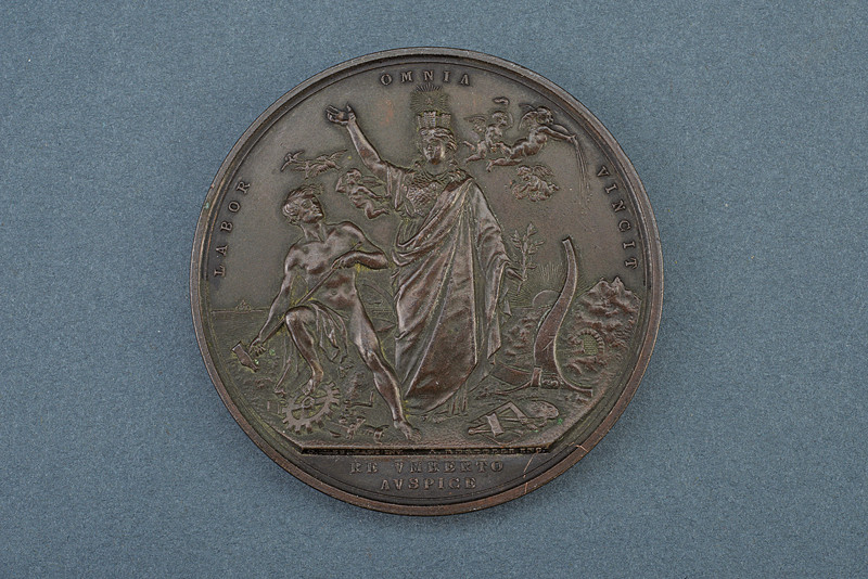 Medaglia in bronzo