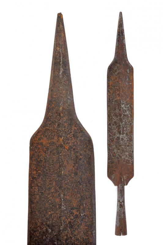 Ferro da alabarda