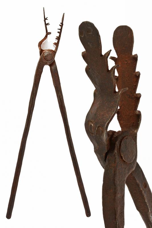 Pinza da tortura