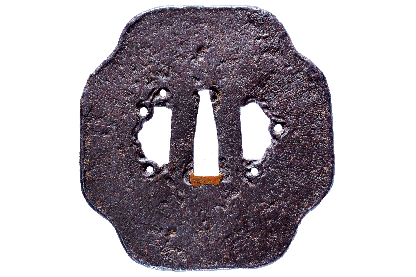 Tsuba attribuito a Iwata Norisuke