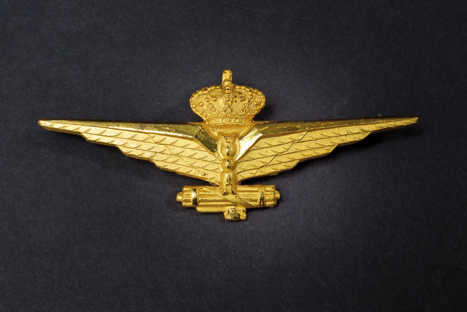Distintivo da osservatore d'aeroplano 