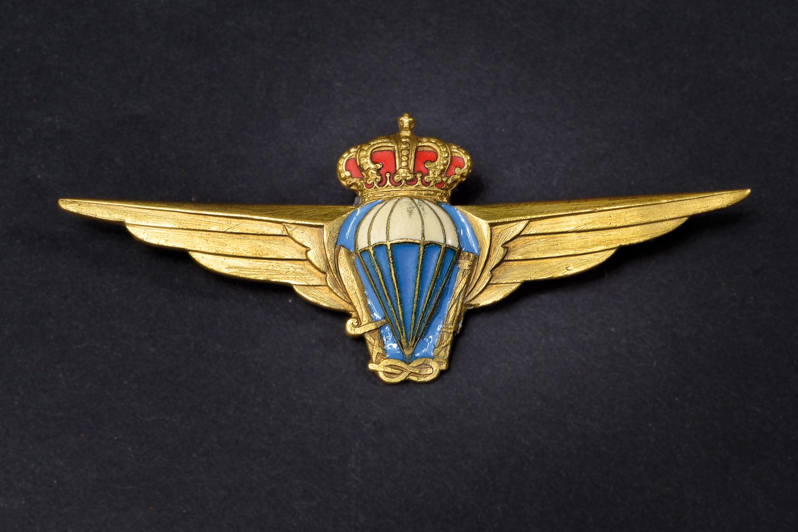 Distintivo da paracadutisti Libici 