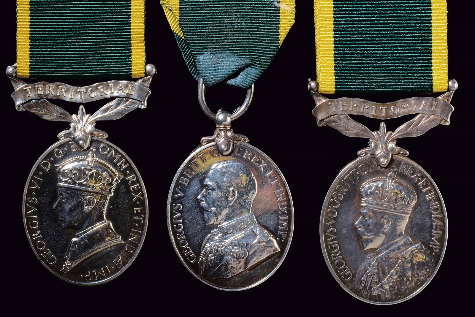 Territorial Efficiency Medal